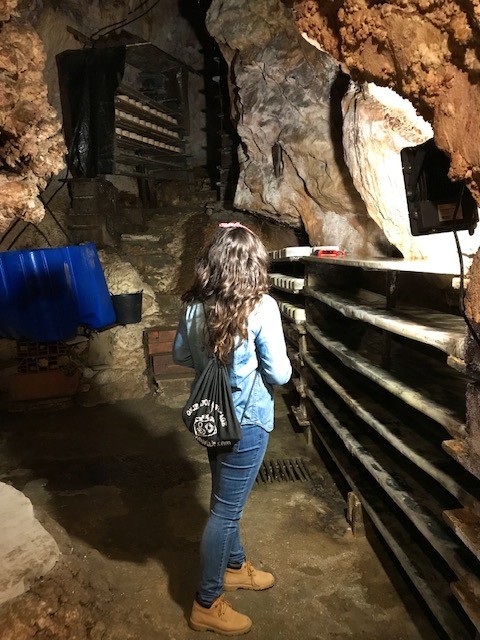 Dónde visitar una cueva del queso de Cabrales en Asturias ?