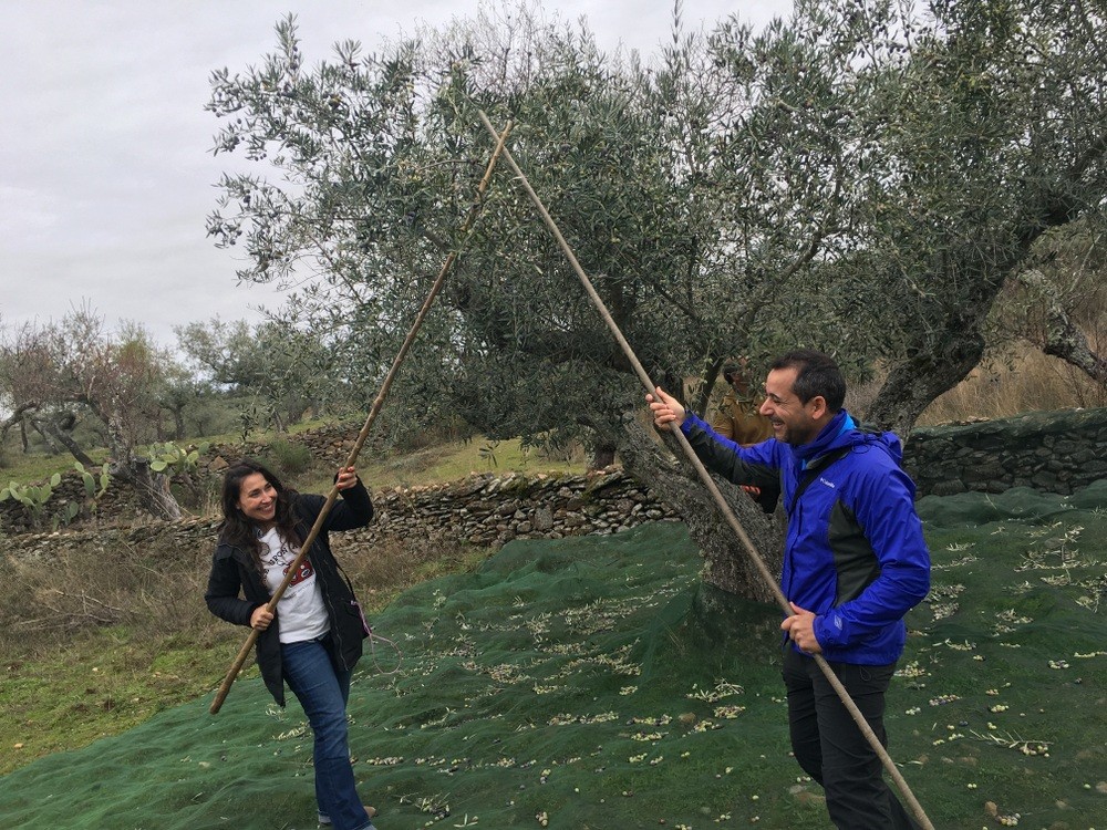 oleoturismo Arribes del Duero