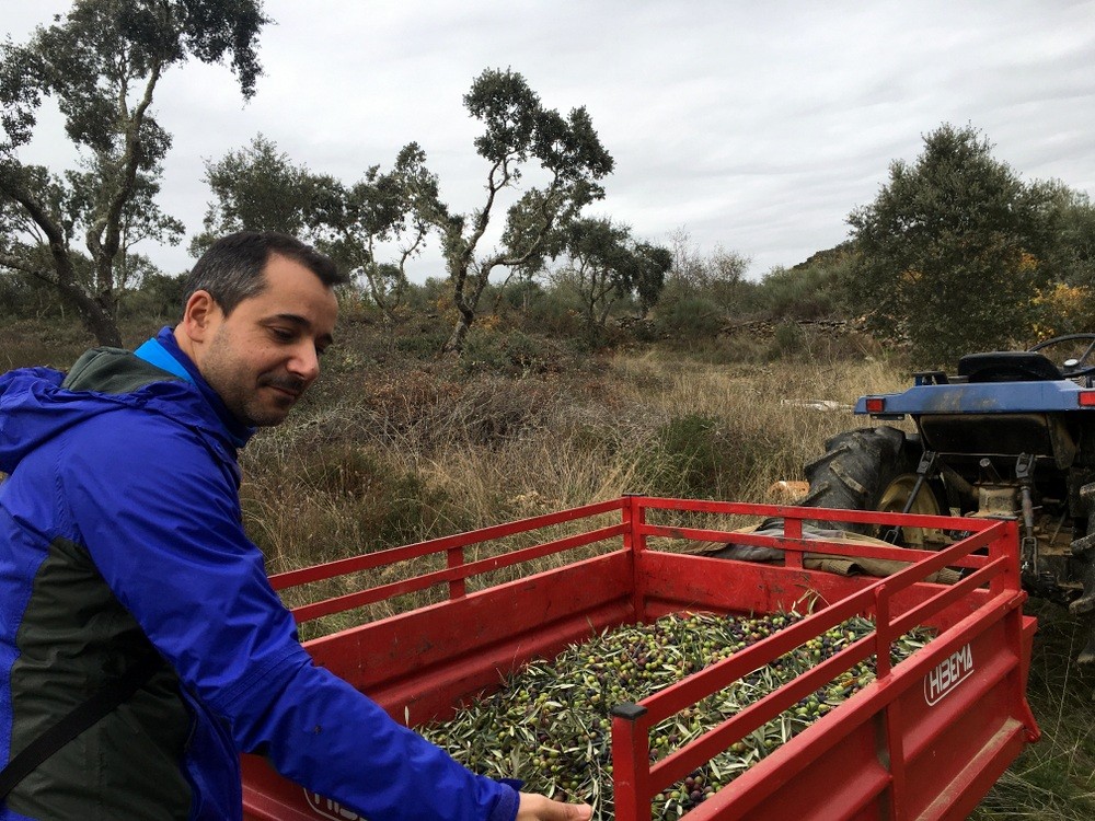 oleoturismo Arribes del Duero