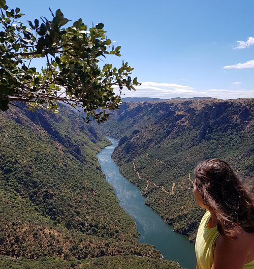 Mirador de la Code, Mieza, Salamanca, Arribes del Duero