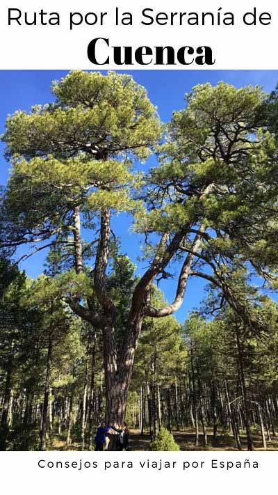 Torcas y lagunas. Una ruta por la Serranía de Cuenca que te va a encantar